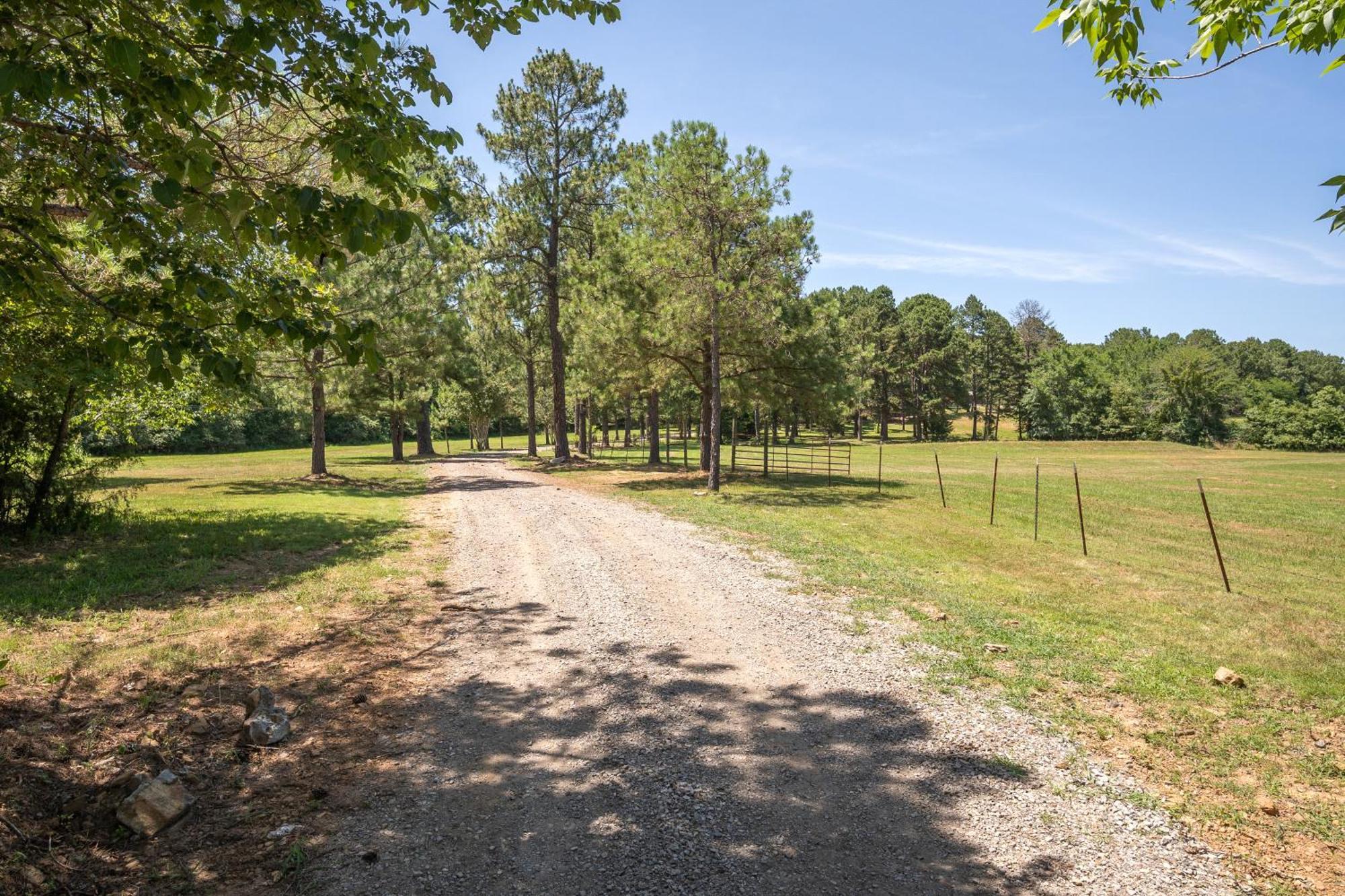 Spring Hill Farm - The Velvet Rooster Villa Alma Bagian luar foto